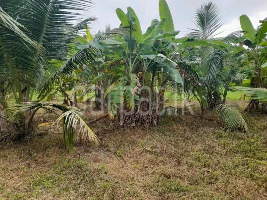 Residential Land for Sale in Ranna