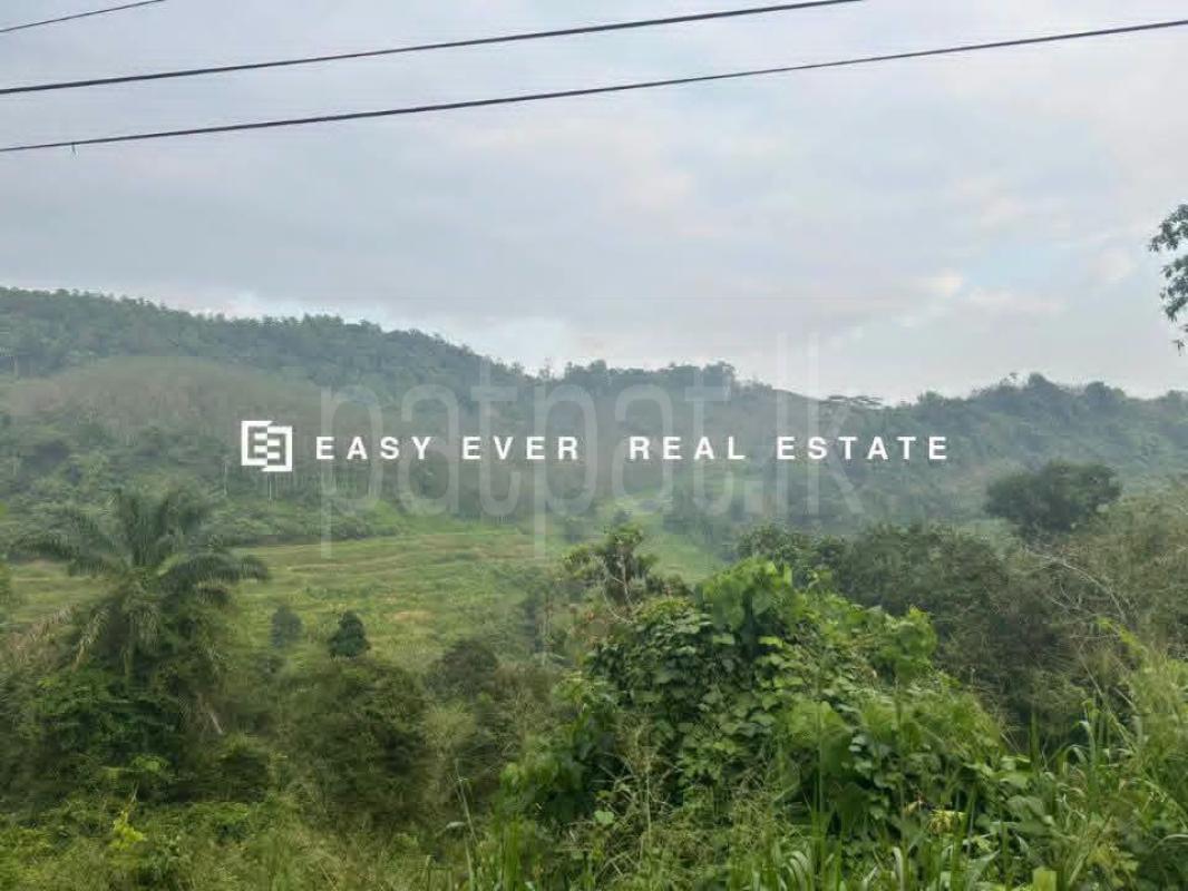 Residential Land for Sale in Nittambuwa