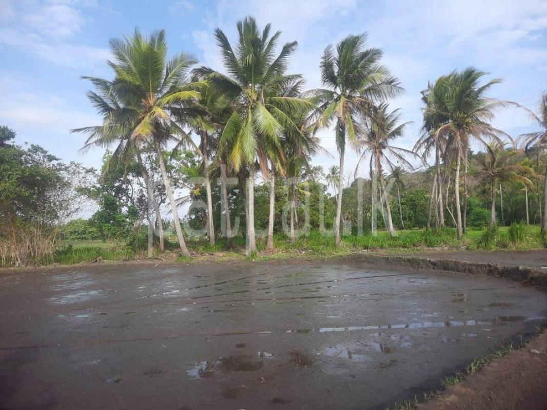 Commercial Land for Sale in Minneriya