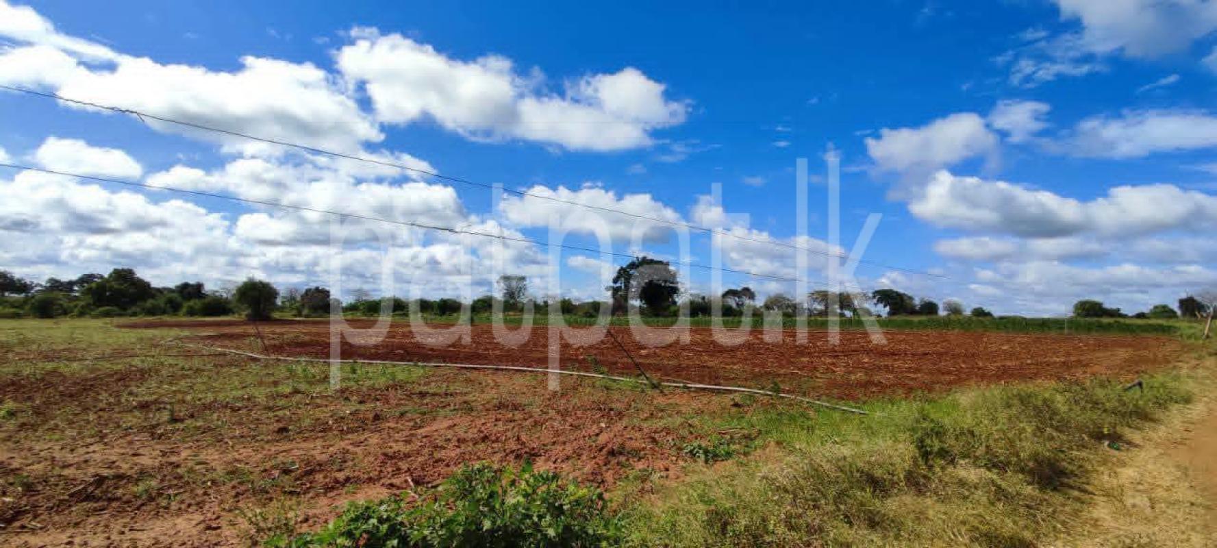 Agricultural Land for Sale in Badulla