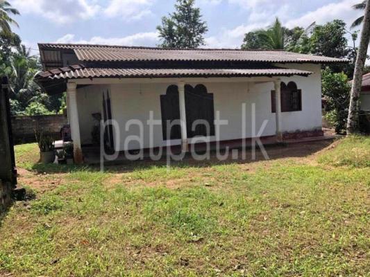 premium-listing-image