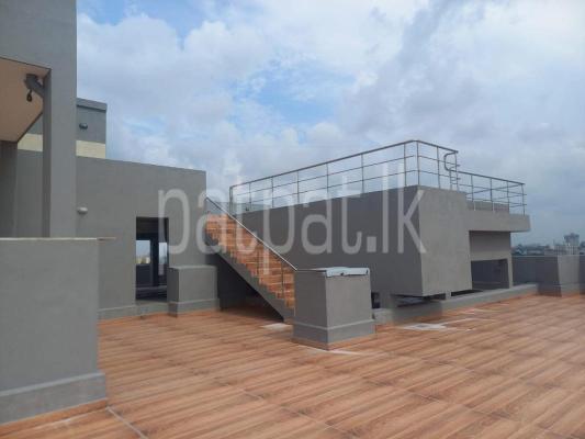 premium-listing-image