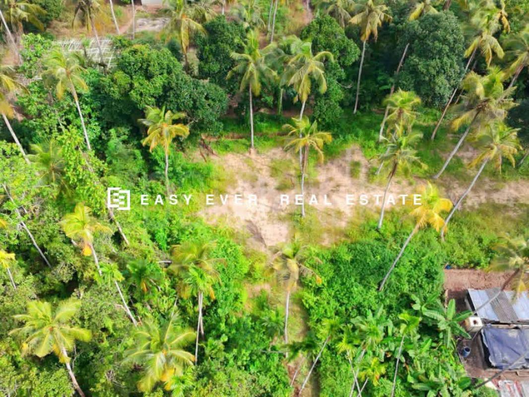 Agricultural Land for Sale in Minuwangoda