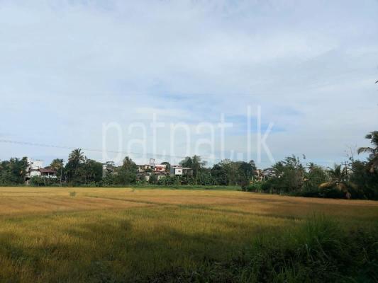 Residential Land for Sale in Nugegoda