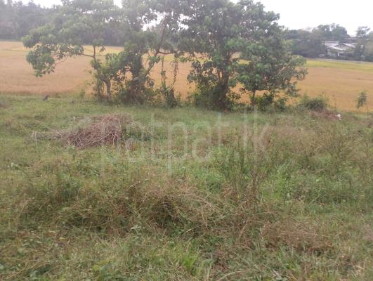 Residential Land for Sale in Homagama