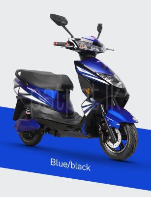 premium-listing-image