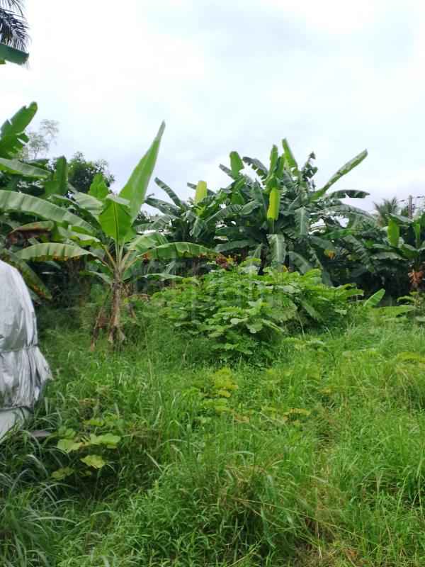Residential Land for Sale in Malabe
