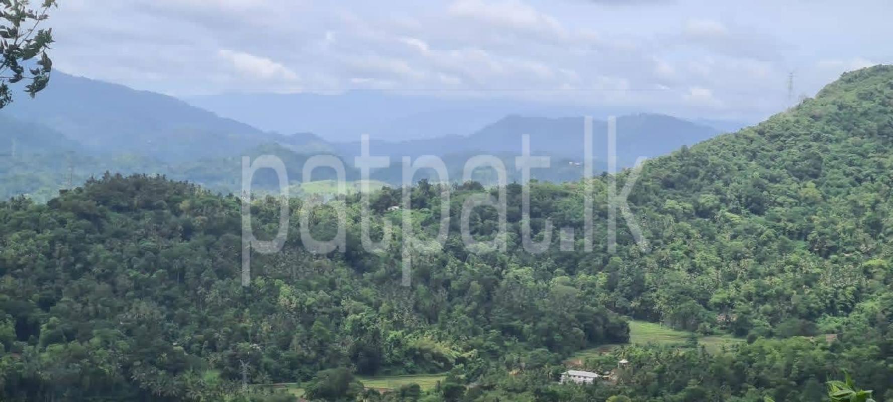 Agricultural Land for Sale in Matale