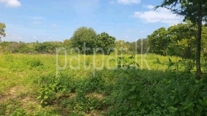 Residential Land for Sale in Tangalla