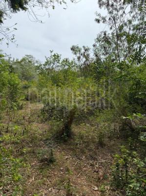 premium-listing-image