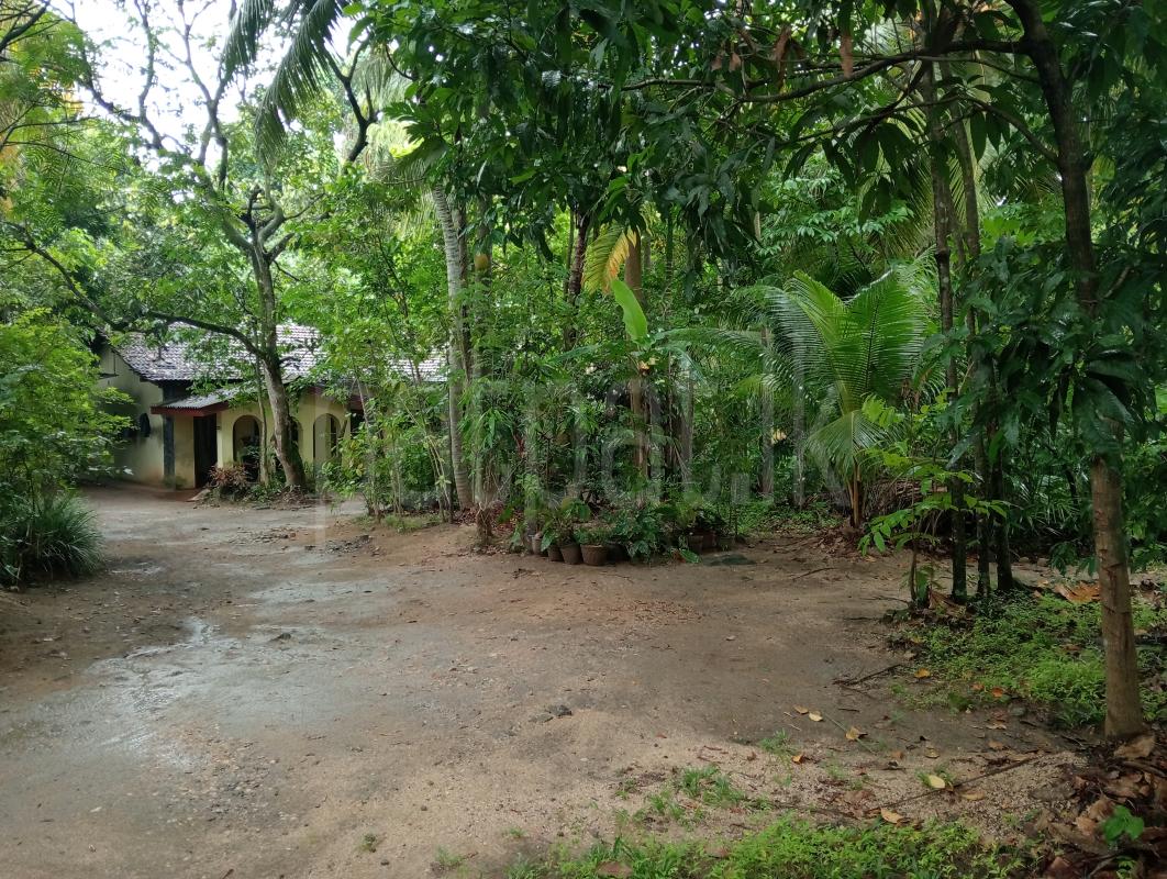 Commercial Land for Sale in Mawanella