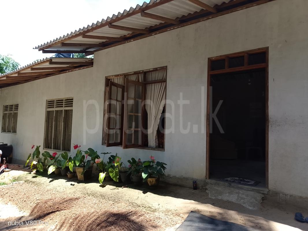 House for Sale in Akmeemana
