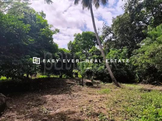 Commercial Land for Sale in Gampaha