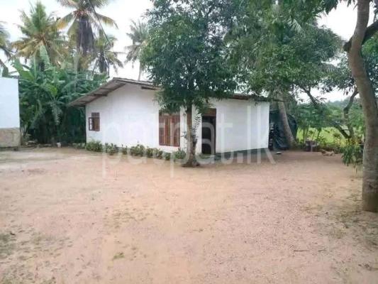 premium-listing-image