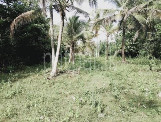 premium-listing-image