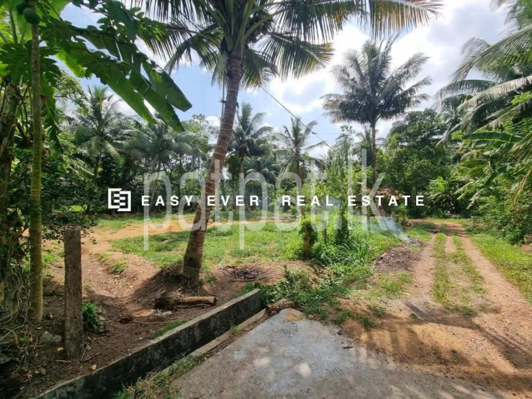 Residential Land for Sale in Delgoda