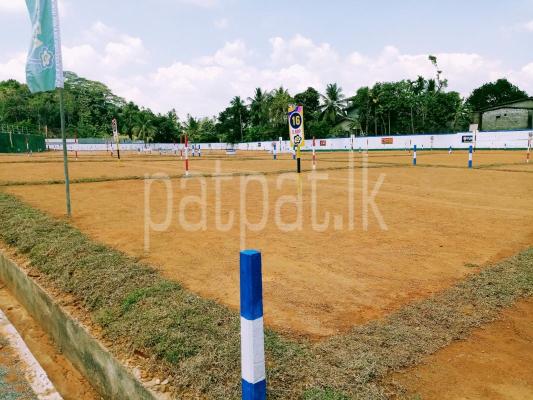 premium-listing-image