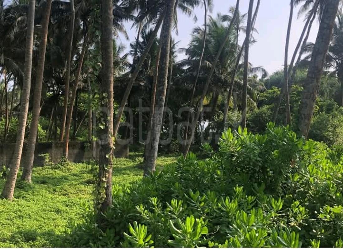 Commercial Land for Sale in Kalutara
