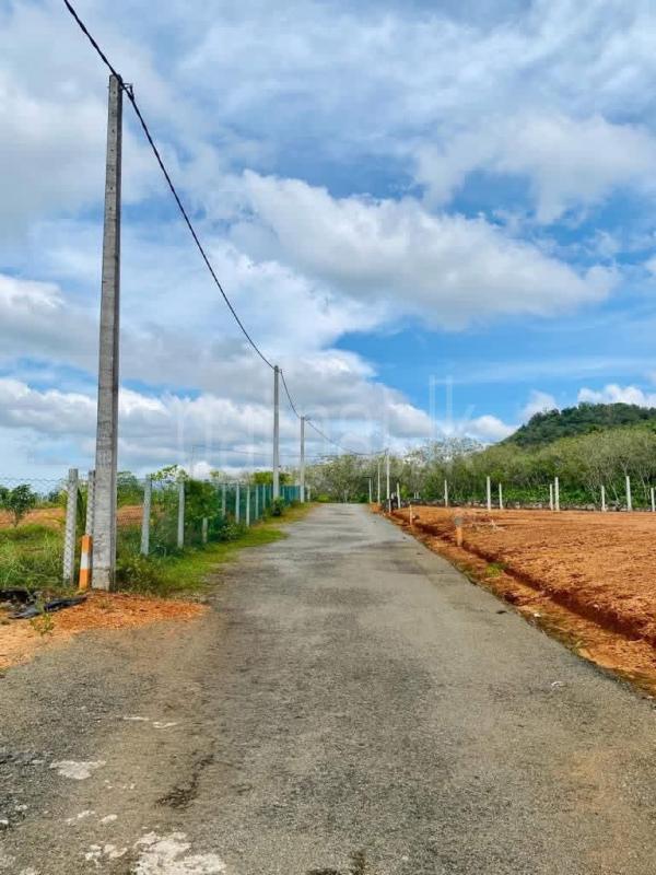 Agricultural Land for Sale in Dodangoda