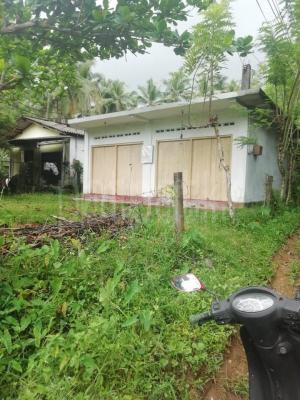 premium-listing-image