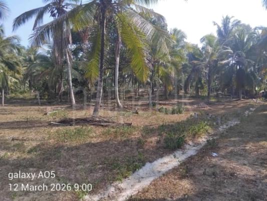 Commercial Land for Sale in Kadawatha