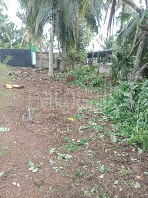 premium-listing-image