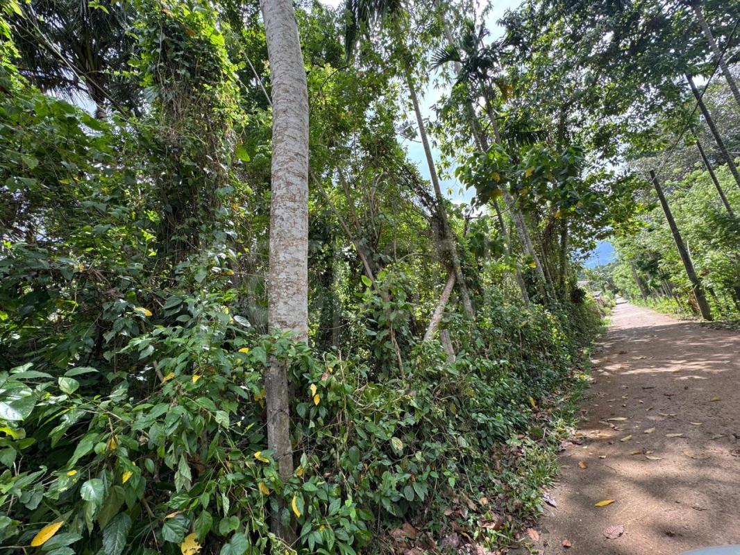 Residential Land for Sale in Matale
