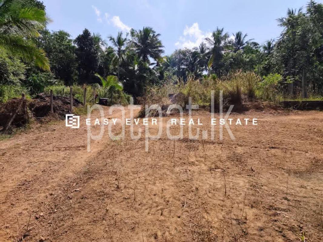 Residential Land for Sale in Yakkala