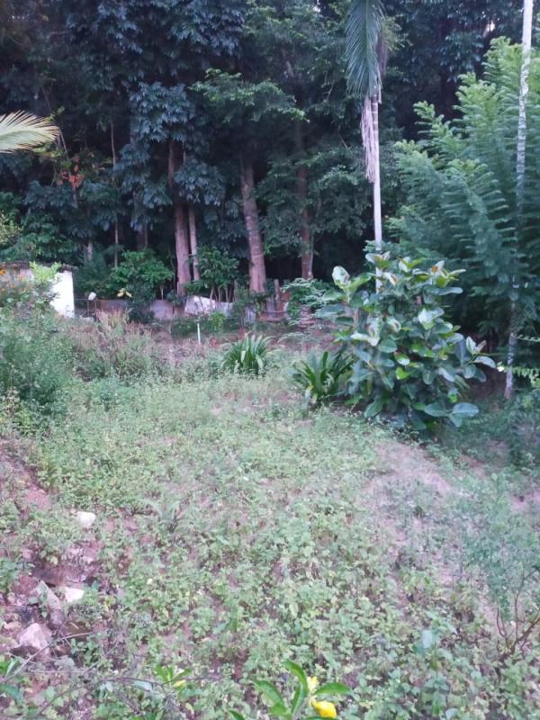 Residential Land for Sale in Kandy