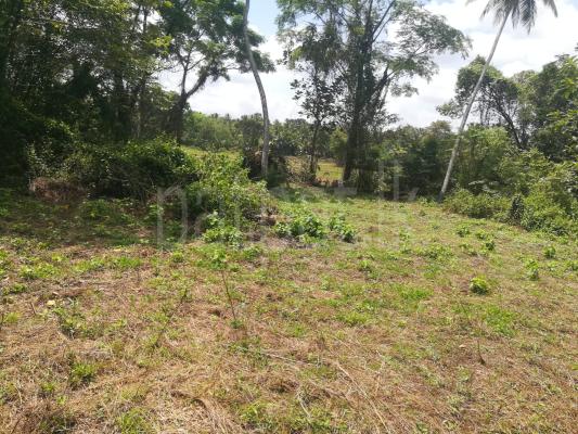 Residential Land for Sale in Kurunegala