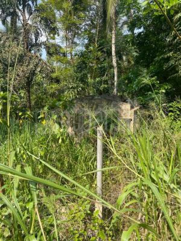 Residential Land for Sale in Kitulgala