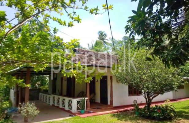 premium-listing-image