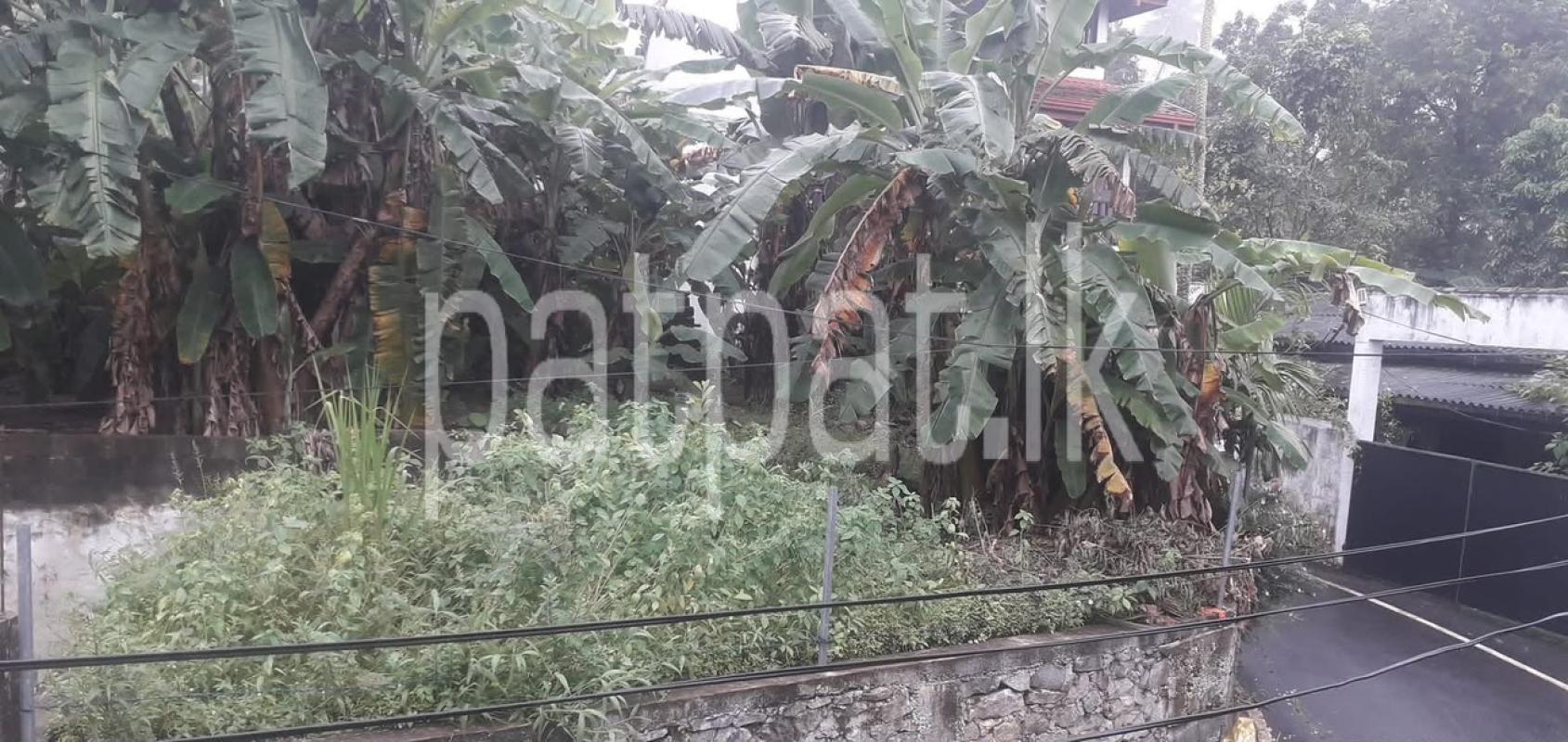 Residential Land for Sale in Homagama
