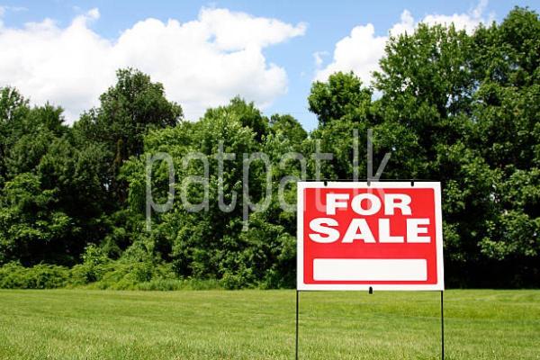 premium-listing-image