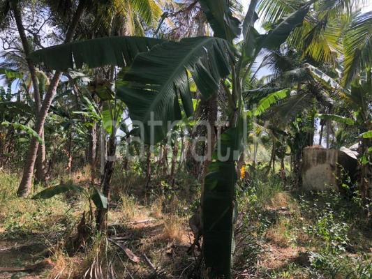 premium-listing-image