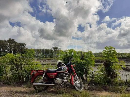 Honda Benly 1987 - பயன்படுத்தப்பட்டது பைக் sale in Sri Lanka - patpat.lk