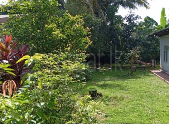 Residential Land for Sale in Boralesgamuwa