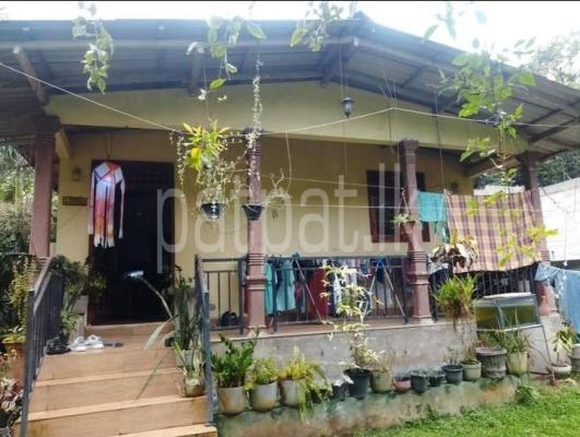 premium-listing-image