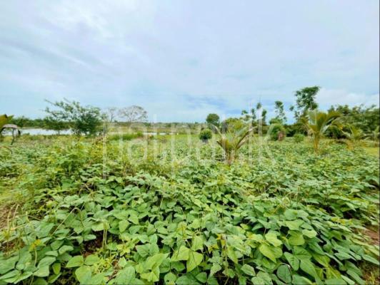 premium-listing-image