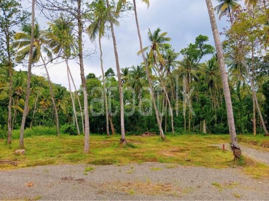 premium-listing-image