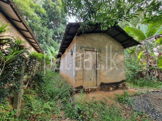 premium-listing-image