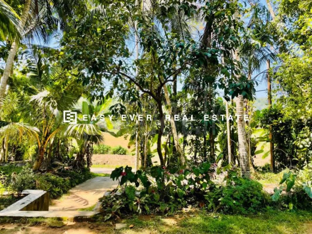 Residential Land for Sale in Warakapola