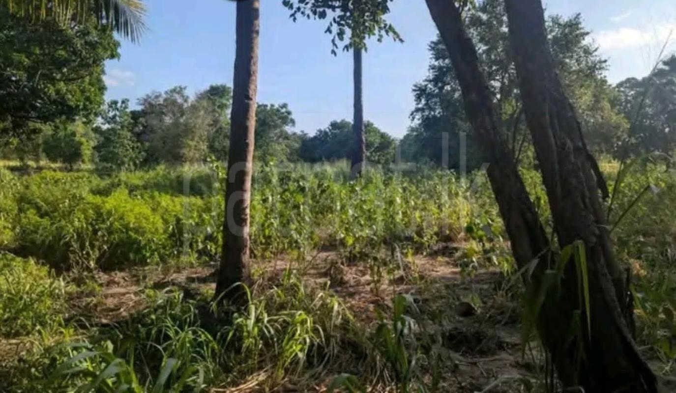 House for Sale in Kekirawa