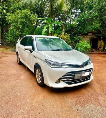 premium-listing-image