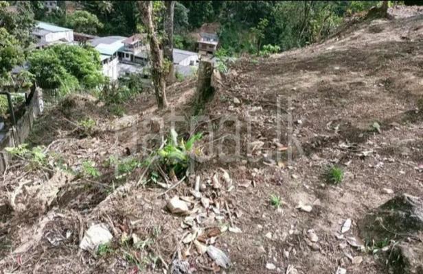 premium-listing-image