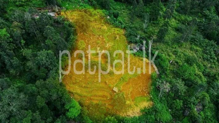 premium-listing-image