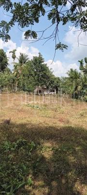 premium-listing-image