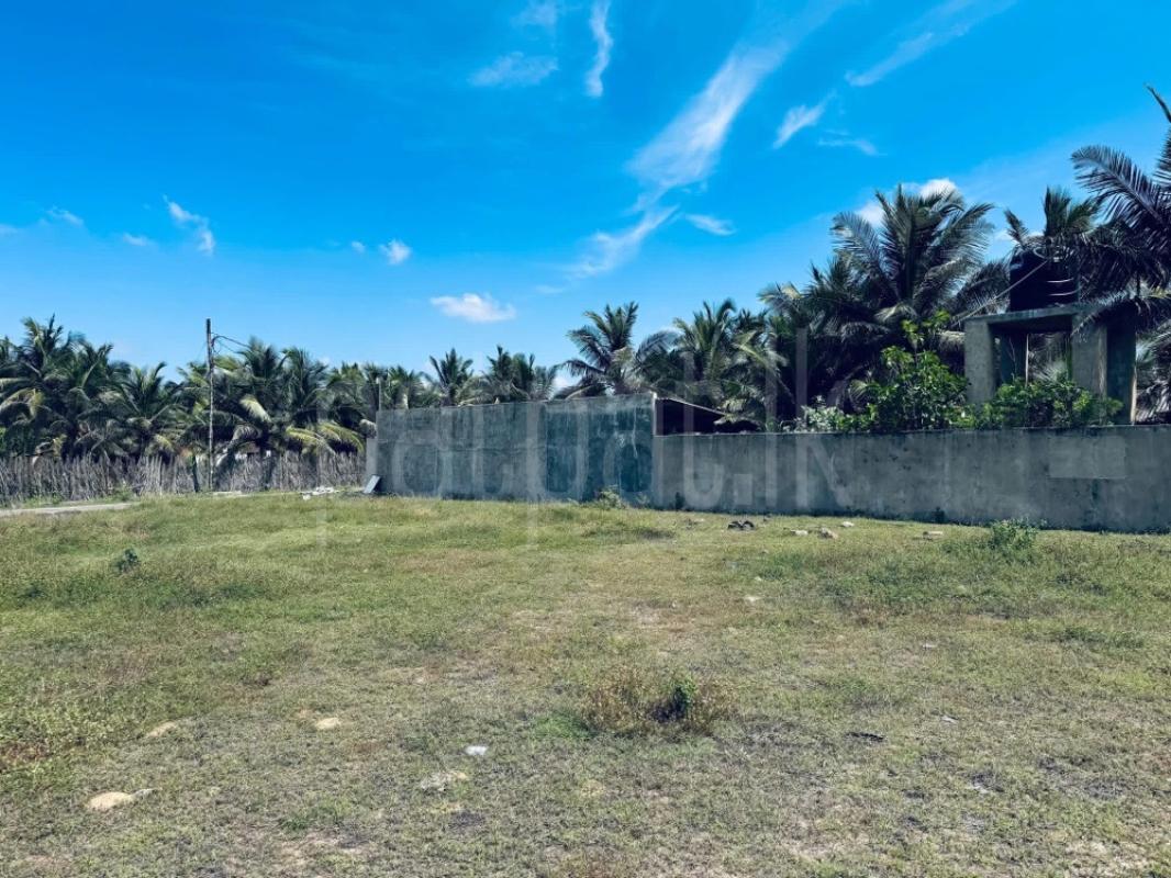 Commercial Land for Sale in Chilaw