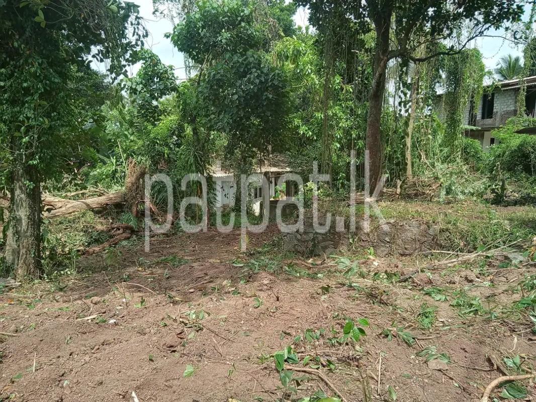 Residential Land for Sale in Ja-Ela