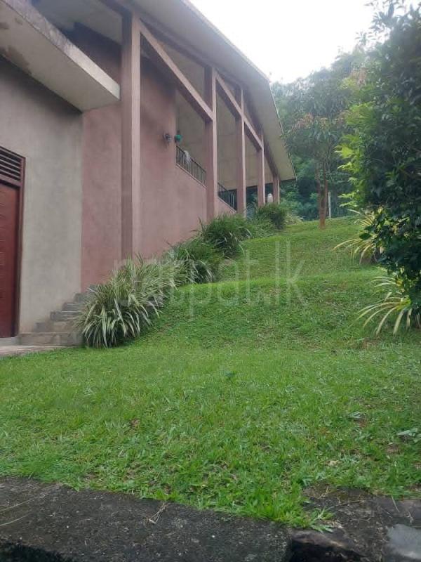 House for Sale in Digana